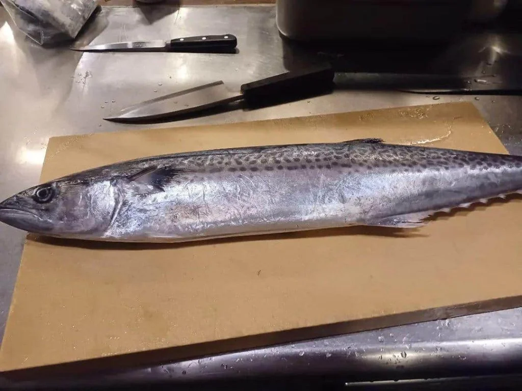 鮮魚、日本酒もたまか食堂にお任せあれ！蒲田居酒屋/蒲田鮮魚/蒲田日本酒/蒲田大衆酒場